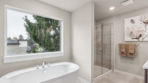 primary suite bathroom