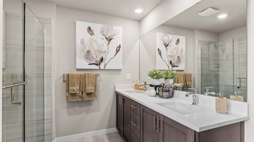 primary suite bathroom