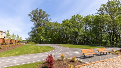 Community park