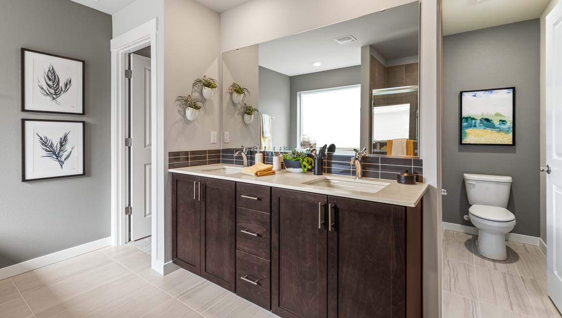 primary suite bathroom