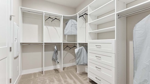 primary suite closet
