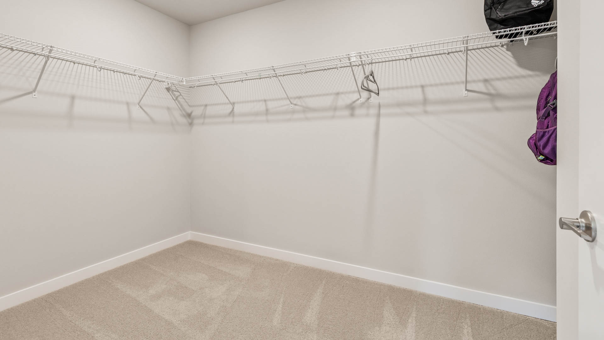 primary suite closet