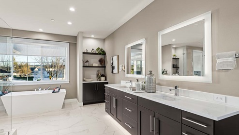 primary suite bathroom