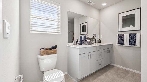 primary suite bathroom