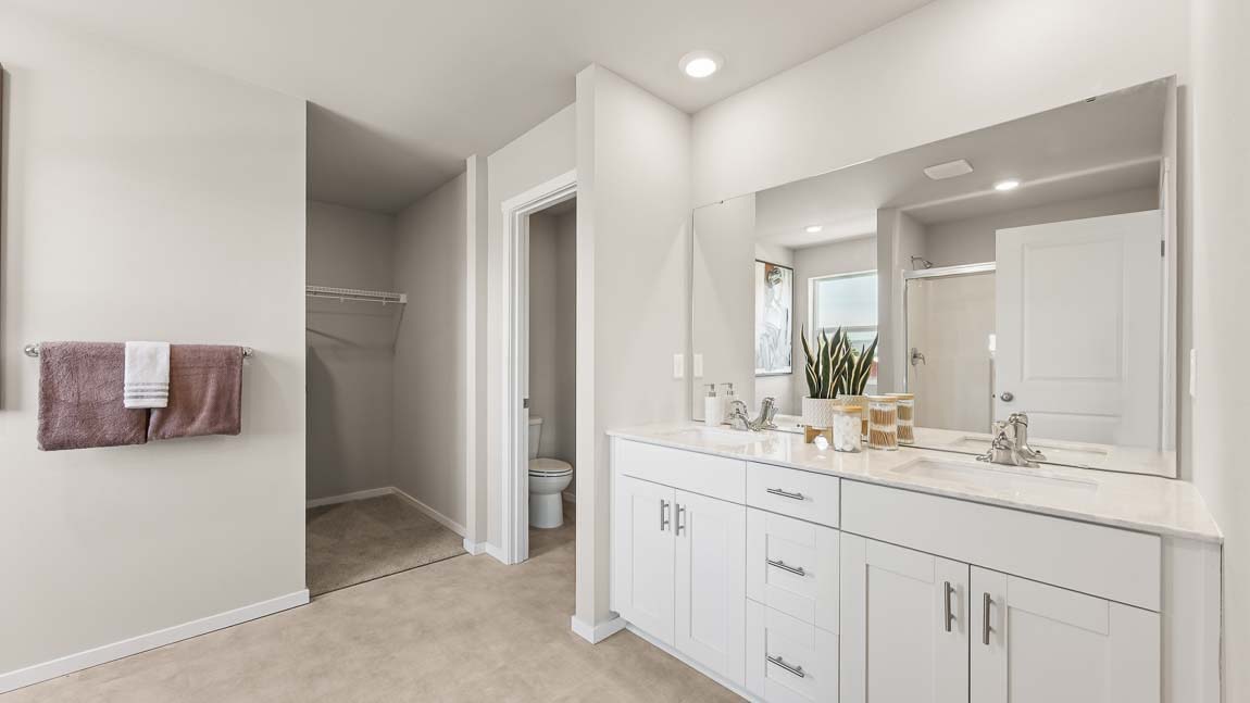 primary suite bathroom