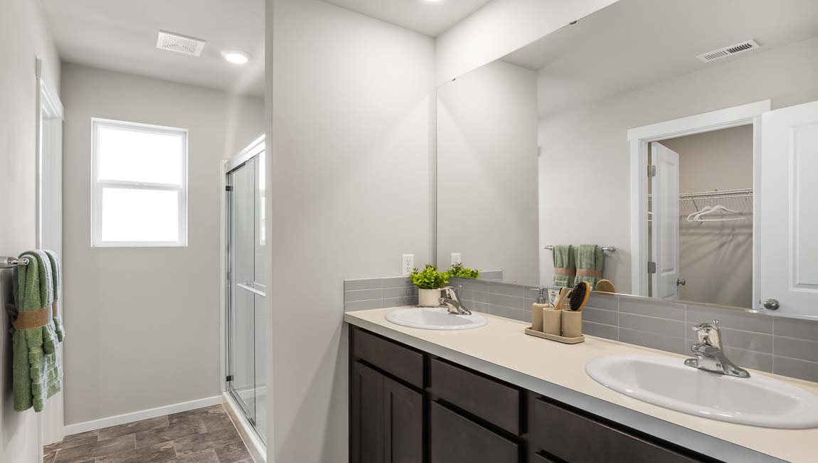 primary suite bathroom