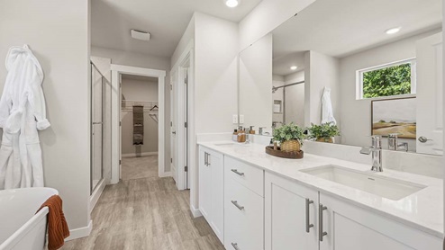 primary suite bathroom