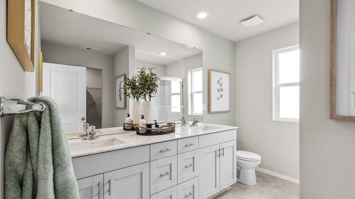 primary suite bathroom