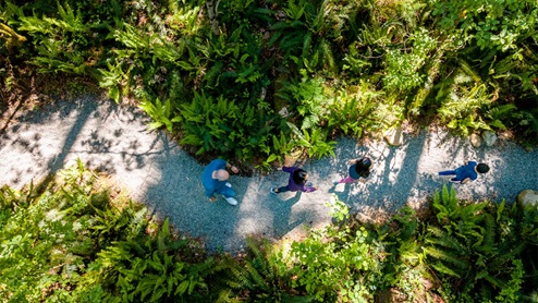 walking trail
