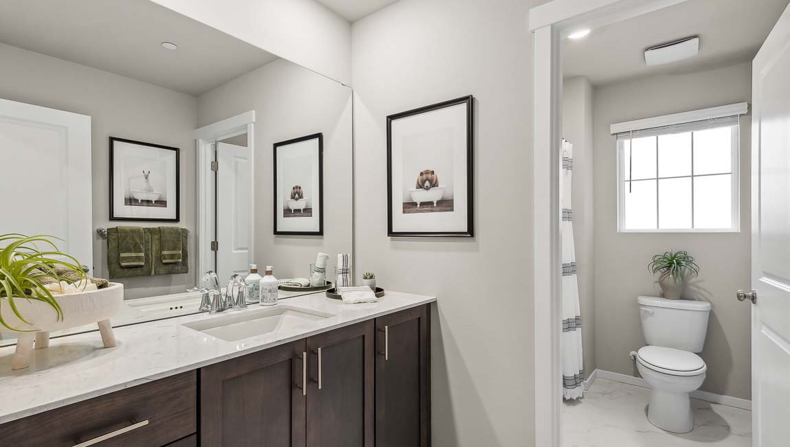 primary suite bathroom