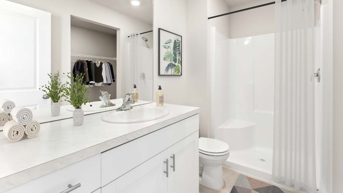 primary suite bathroom