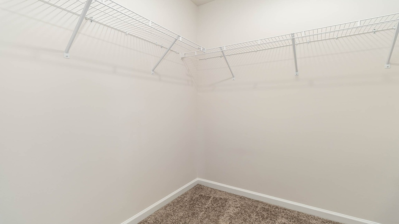 Aria primary walk in closet