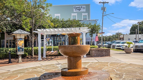 Georgetown Area