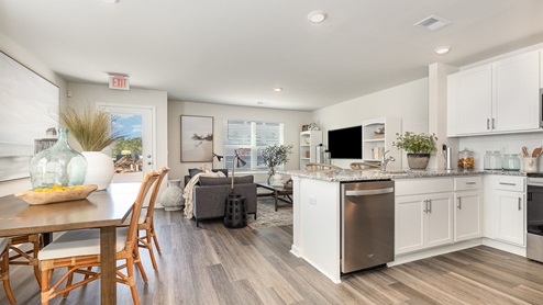 Pearson kitchen and living overview