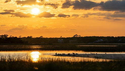 Huntington Beach State Park