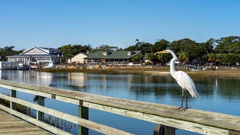 Murrells Inlet Marsh Walk
