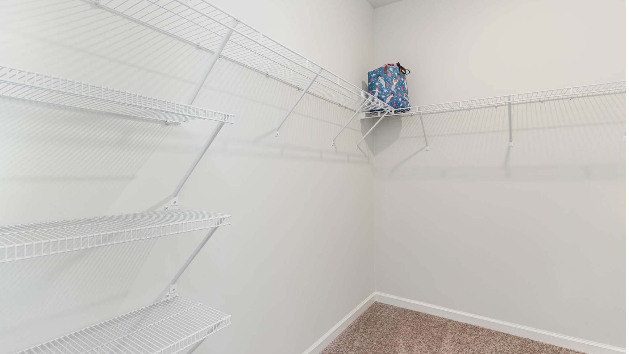 primary walk in closet