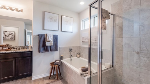 steele creek model primary bathroom