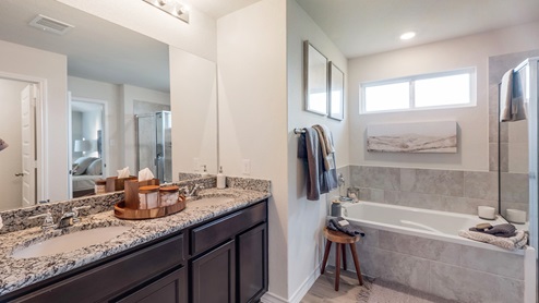 steele creek model primary bathroom