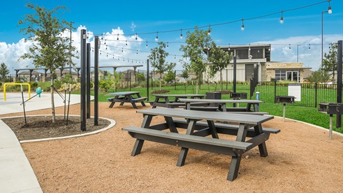 steele creek amenities