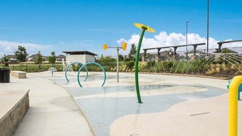 steele creek amenities