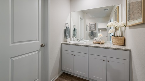 salado creek model primary bathroom