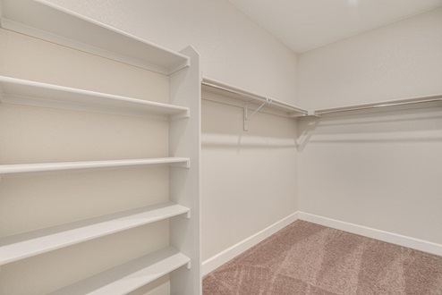 walk in closet with carpet floor and shelves