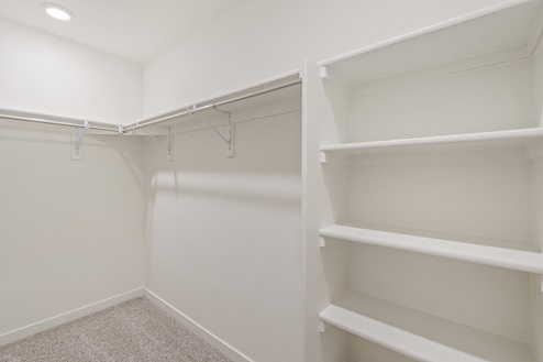 walk in closet with shelves