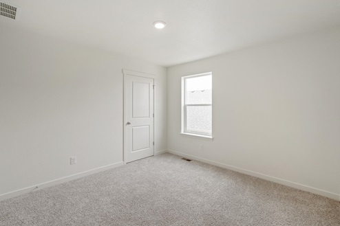 bedroom with carpet floor, closet, and a window