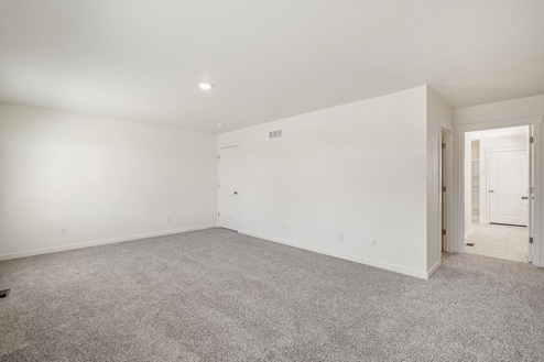 bedroom with carpet floor and ceiling light