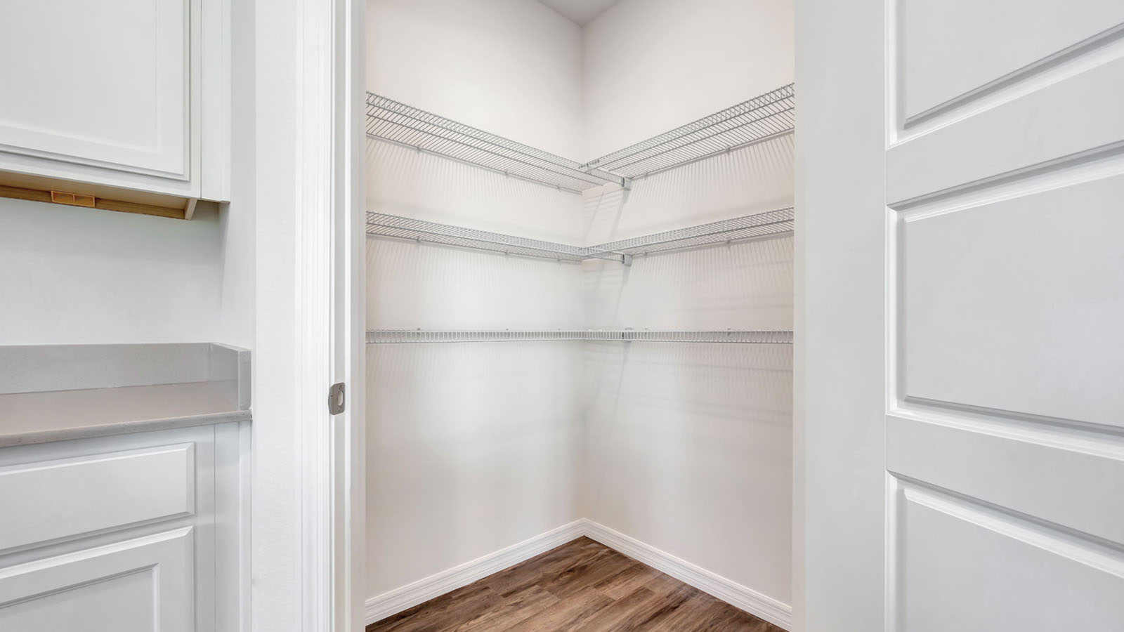 Kitchen with large walk-in pantry