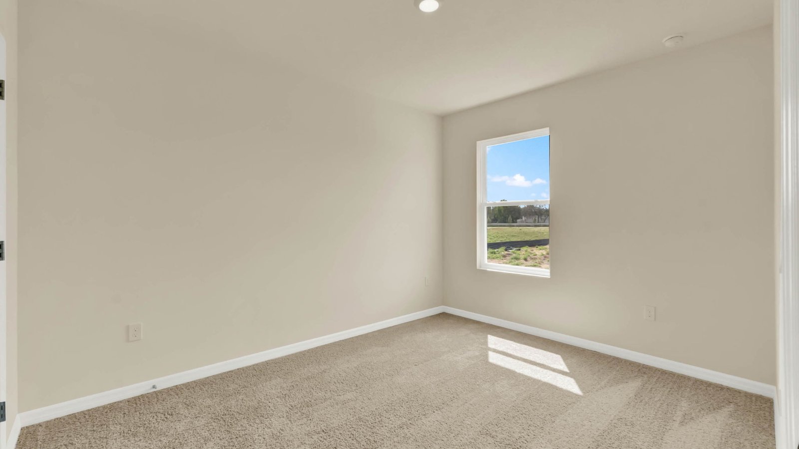 Guest bedroom with carpet
