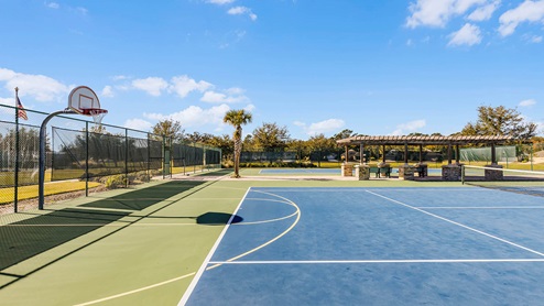 Basketball court
