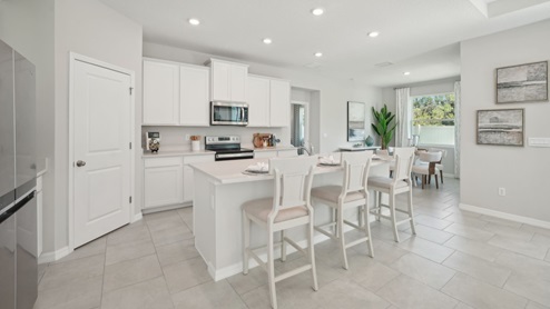 Kitchen with island seating, quartz counters, spacious pantry and stainless-steel appliances. New construction land O Lakes.