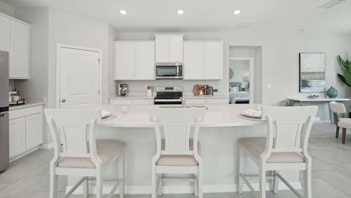 Kitchen with island seating, quartz counters, spacious pantry and stainless-steel appliances. New construction land O Lakes.