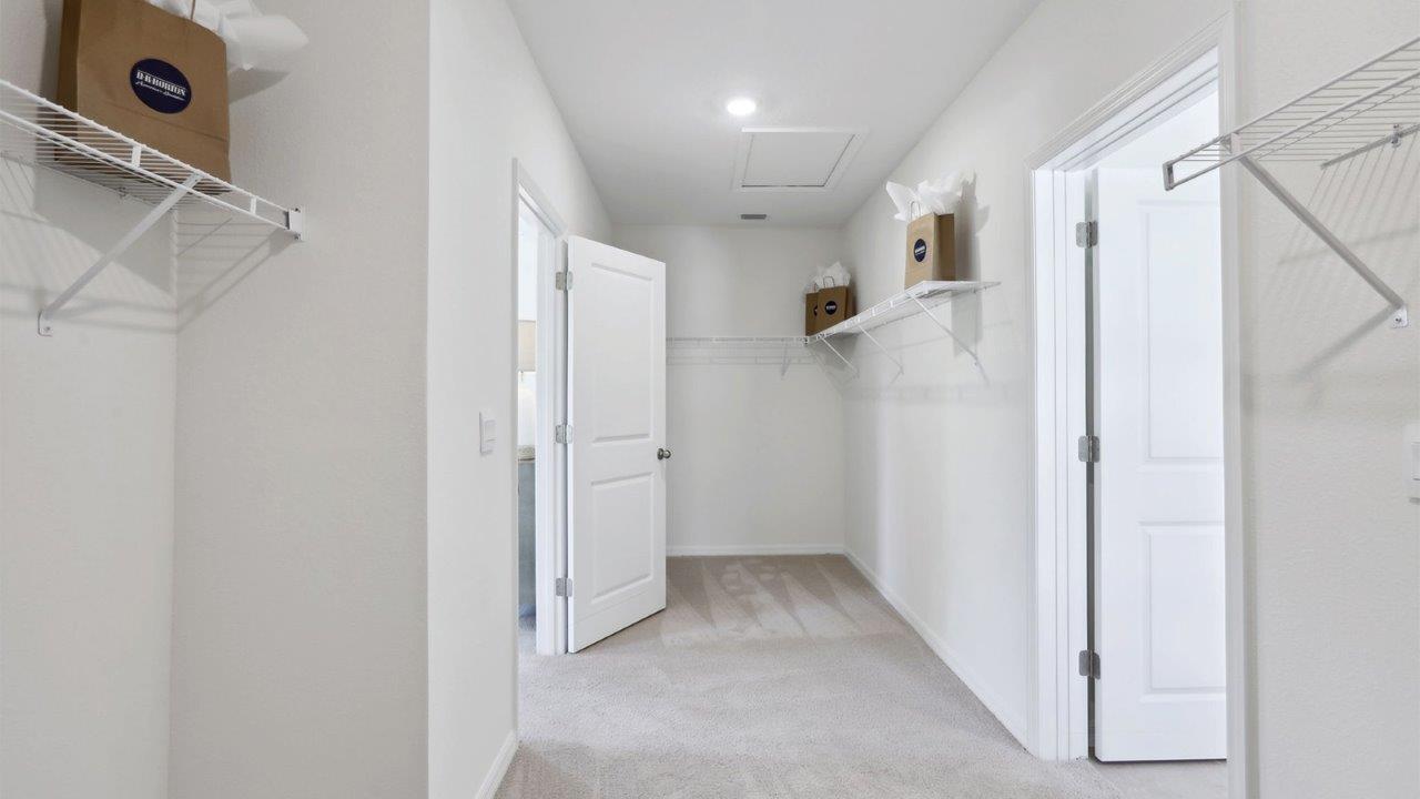 Spacious walk in closet with abundant shelving and storage.