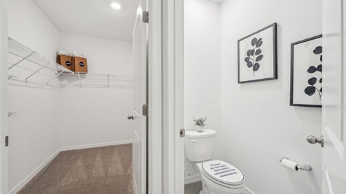 Spacious walk in closet with abundant shelving and storage.