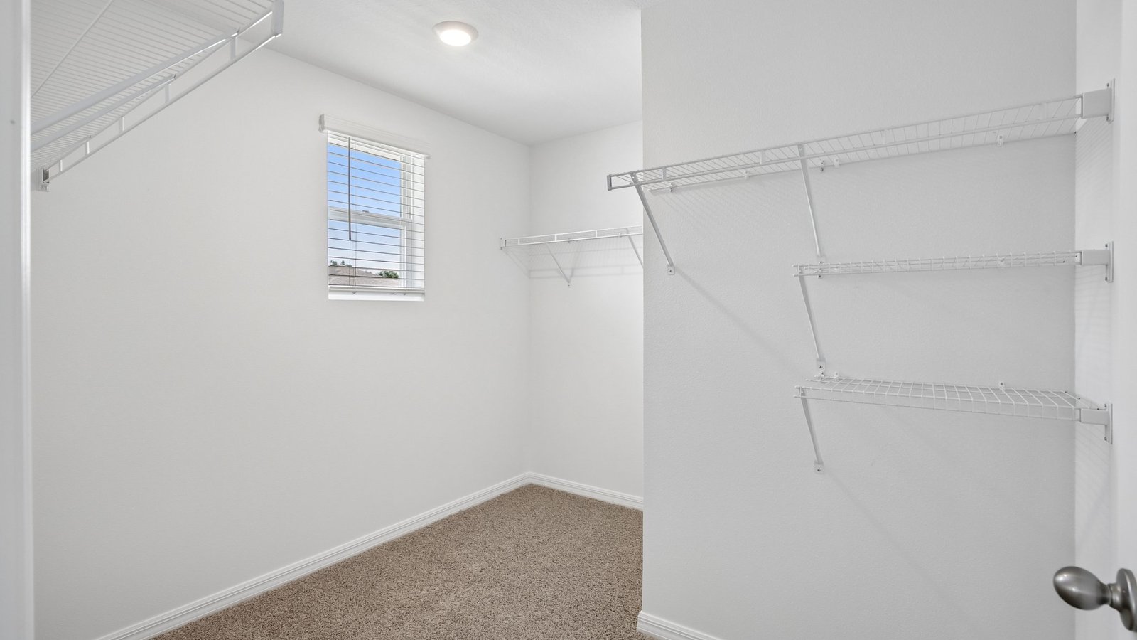 Spacious walk in closet with abundant shelving and storage.