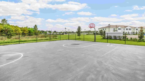 Basketball Court
