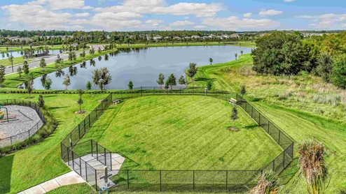 Drone Dog park