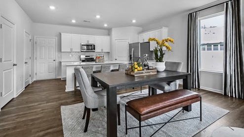 Collin Model living area with ample natural lighting