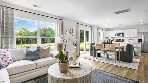 Belhaven model interior