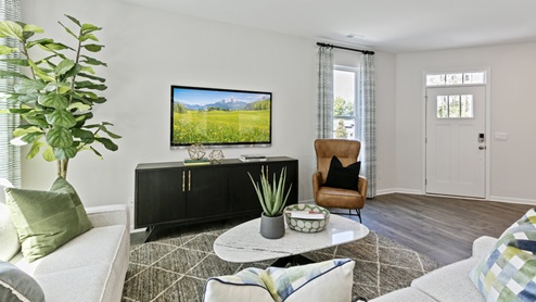 Carson Model Living Room