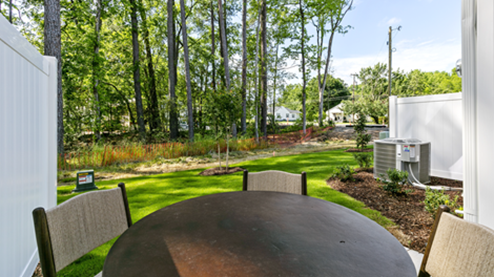 view of the backyard