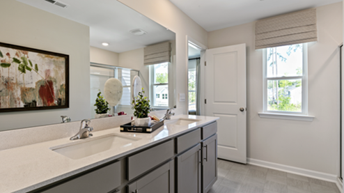 bathroom featuring dual vanity sinks