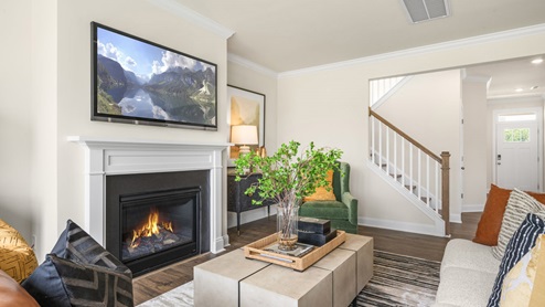 Norman Model Living Room