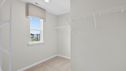 walk in closet with wire shelving
