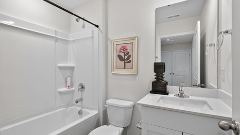 secondary bathroom with shower tub combo and single vanity sink
