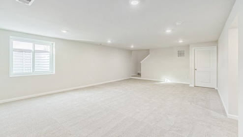 Massive finished basement with egress window.