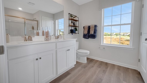 A double-bowl vanity adorns the primary bathroom.